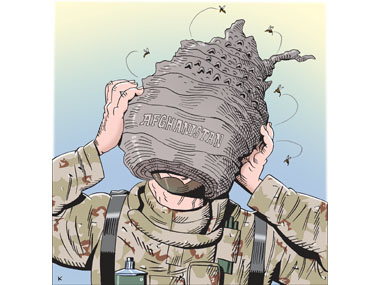 Afghan Hornet Nest