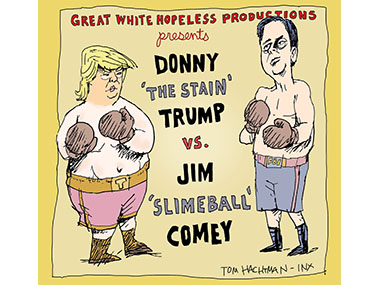 Trump boxing with Jim Comey