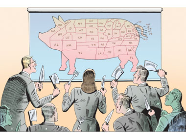 Congress and Pork